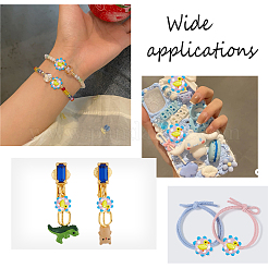 10Pcs Handmade Lampwork Beads&nbsp;LAMP-NB0001-40