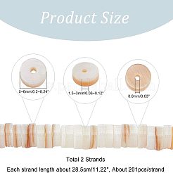 2 Strands Natural Freshwater Shell Beads Strands&nbsp;BSHE-NB0001-17