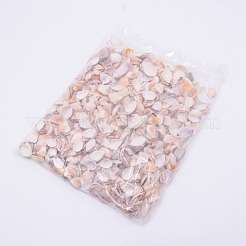 Natural Conch Shell Beads&nbsp;SSHEL-WH0003-01