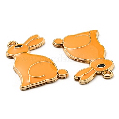 Alloy Pendants&nbsp;ENAM-L042-03G-02