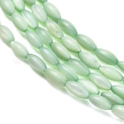 Natural Freshwater Shell Beads Strands&nbsp;X-SHEL-C010-01A