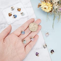 12Pcs 6 Styles Natural Gemstone Charms&nbsp;G-NB0003-74