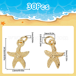 30Pcs Electroplated Alloy Charms&nbsp;FIND-SC0012-41