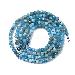 Natural Apatite Beads Strands&nbsp;G-D347-A01
