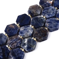 Natural Sodalite Beads Strands&nbsp;G-N368-01A-04