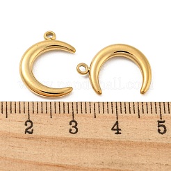 304 Stainless Steel Pendants&nbsp;STAS-L022-223G