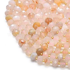 Natural Cherry Blossom Agate Beads Strands&nbsp;G-P573-A22-01