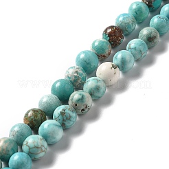 Natural Magnesite Beads Strands&nbsp;G-L555-02C-02