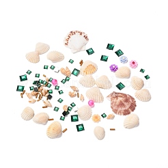 DIY Peacock Pattern Shell Conch Disk Paste Painting For Kids&nbsp;DIY-P035-05