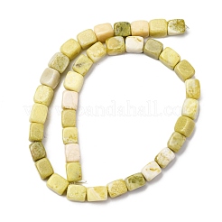 Natural Jade Beads Strands&nbsp;G-B155-D13