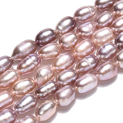 Natural Cultured Freshwater Pearl Beads Strands&nbsp;PEAR-N012-03L