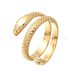 304 Stainless Steel Finger Rings&nbsp;RJEW-D352-03G