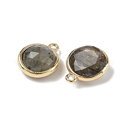 Natural Labradorite Faceted Flat Round Charms&nbsp;G-U028-03G-06