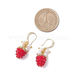 Handmade Lampwork Dangle Earrings&nbsp;EJEW-JE06623
