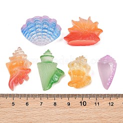 Luminous Resin Shell Shape & Conch Display Decorations&nbsp;RE-CBA17C4-22