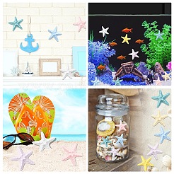 10Pcs Resin Decoden Cabochons&nbsp;CRES-YW0001-42