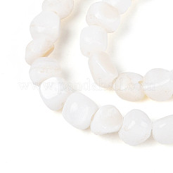 Natural Freshwater Shell Beads Strands&nbsp;SHEL-N038-31