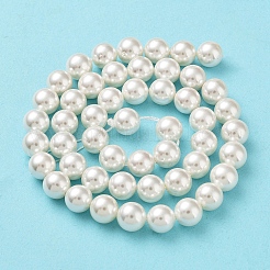 Shell Pearl Bead Strands&nbsp;BSHE-L026-03-8mm