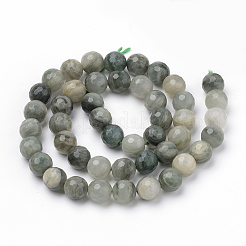 Natural Green Line Jasper Beads Strands&nbsp;G-Q462-102-6mm