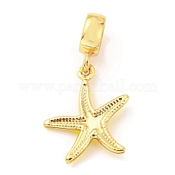 Brass Enamel European Dangle Charms&nbsp;KK-M247-11G-04