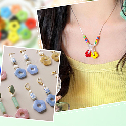 30Pcs Handmade Lampwork Beads&nbsp;LAMP-SC0001-57