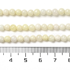 Natural Jade Beads Strands&nbsp;G-H298-A04-01