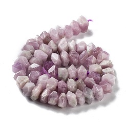 Natural Kunzite Beads Strands&nbsp;G-D091-A13