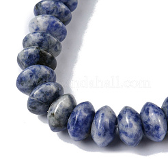 Natural Blue Spot Jasper Beads Strands&nbsp;G-F743-05B