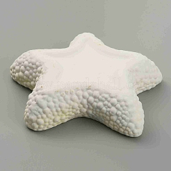 Starfish Shape Ceramic Jewelry Plate&nbsp;AJEW-WH0041-95A