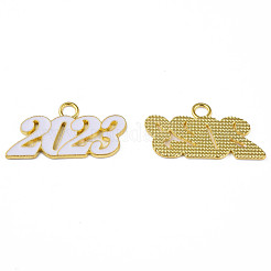 Alloy Enamel Pendants&nbsp;PALLOY-N160-85-G