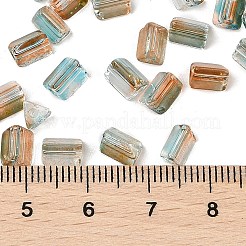 Transparent Spray Painted Glass Seed Beads&nbsp;SEED-L011-10A-04