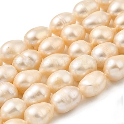 Natural Cultured Freshwater Pearl Beads Strands&nbsp;PEAR-I007-01H-02B