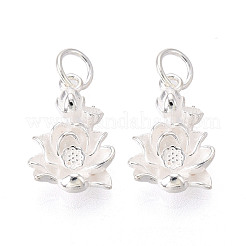 925 Sterling Silver Pendants&nbsp;STER-T009-14S