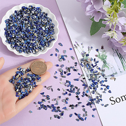 500G Natural Lapis Lazuli Chip Beads&nbsp;G-SP0001-07