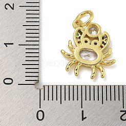 Marine Theme Rack Plating Brass Micro Pave Cubic Zirconia Pendants&nbsp;KK-I718-28G-01