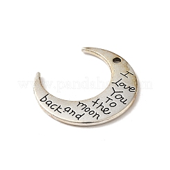 Tibetan Style Alloy Pendant&nbsp;FIND-A038-23AS