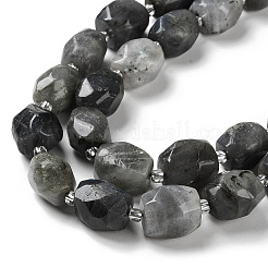 Natural Labradorite Beads Strands&nbsp;G-C105-A02-01
