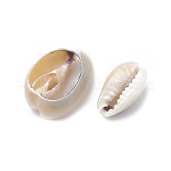 Cowrie Shell Beads&nbsp;SSHEL-T004-03