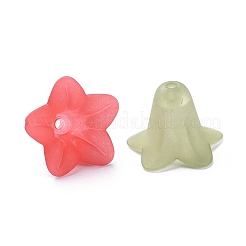 Transparent Acrylic Beads&nbsp;PLF018