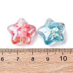 Transparent Resin & Natural Shell Beads&nbsp;RESI-B039-03A