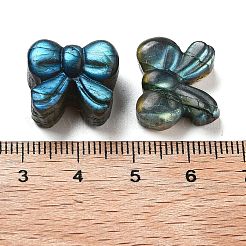 Natural Labradorite Carved Cabochons&nbsp;G-C152-02