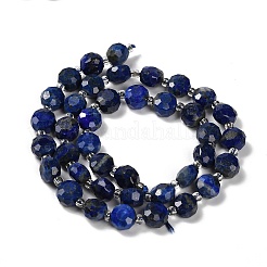 Natural Lapis Lazuli Beads Strands&nbsp;G-B153-A06
