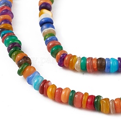 Rainbow Color Natural Freshwater Shell Beads Strands&nbsp;SHEL-M018-08A