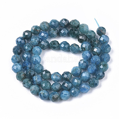 Natural Apatite Beads Strands&nbsp;G-S361-6mm-024