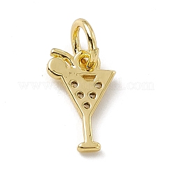 Brass Micro Pave Cubic Zirconia Charms&nbsp;LS-ZIRC-F132-15G