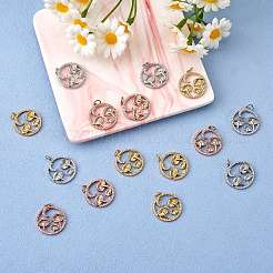 5Pcs Brass Micro Pave Clear Cubic Zirconia Pendants&nbsp;ZIRC-SZ0003-33A