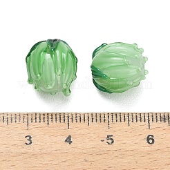 Handmade Lampwork Beads&nbsp;LAMP-F041-02-A10
