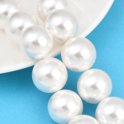 Shell Pearl Bead Strands&nbsp;BSHE-H001-06