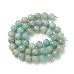 Natural Amazonite Beads Strands&nbsp;G-K068-03-8mm-01