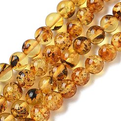 Natural Amber Beads Strands&nbsp;G-K387-D02-01